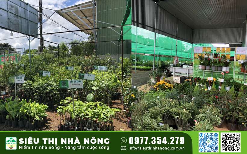 Siêu Thị Nhà Nông