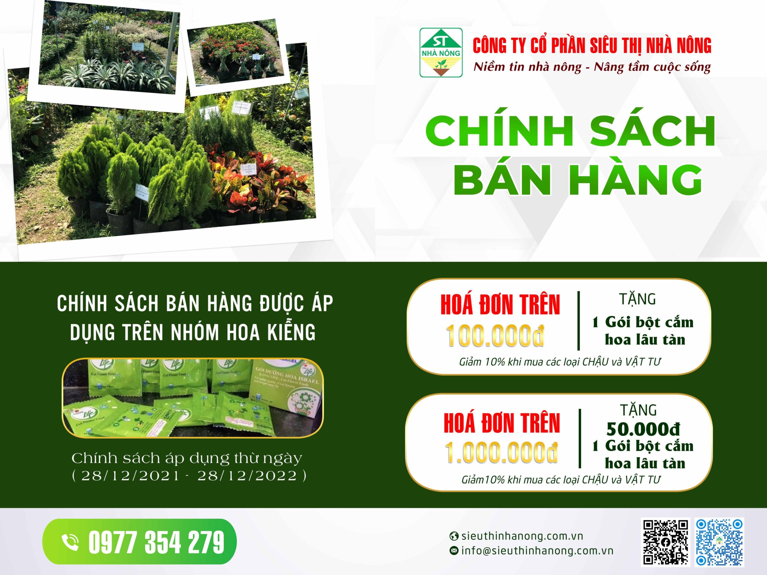 bột cắm hoa lâu tàn Long Life