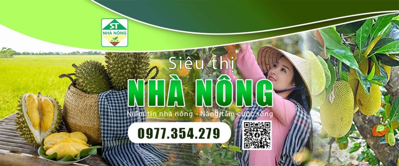 Những loại cây ăn quả lâu năm chỉ cần trồng 1 lần