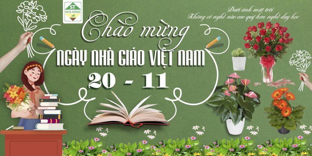 Tổng hợp hoa chậu tặng Thầy Cô ngày 20 -11-2022