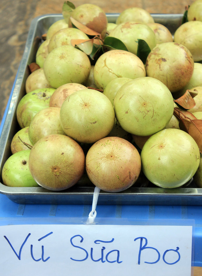 Vú sữa bơ hồng - Siêu Thị Nhà Nông