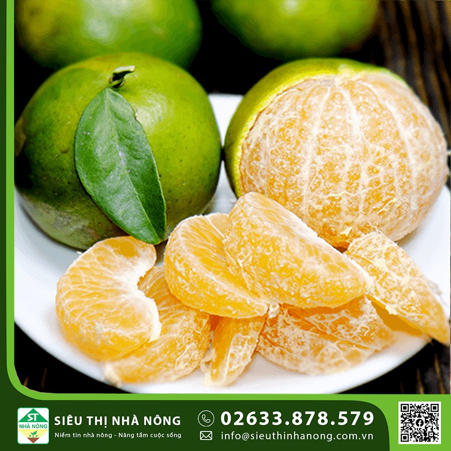 Cam Xoàn tại Siêu Thị Nhà Nông