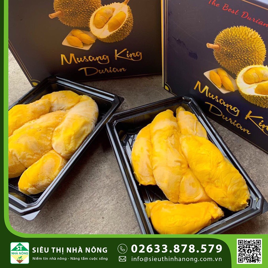 Ssầu riêng Malaysia 